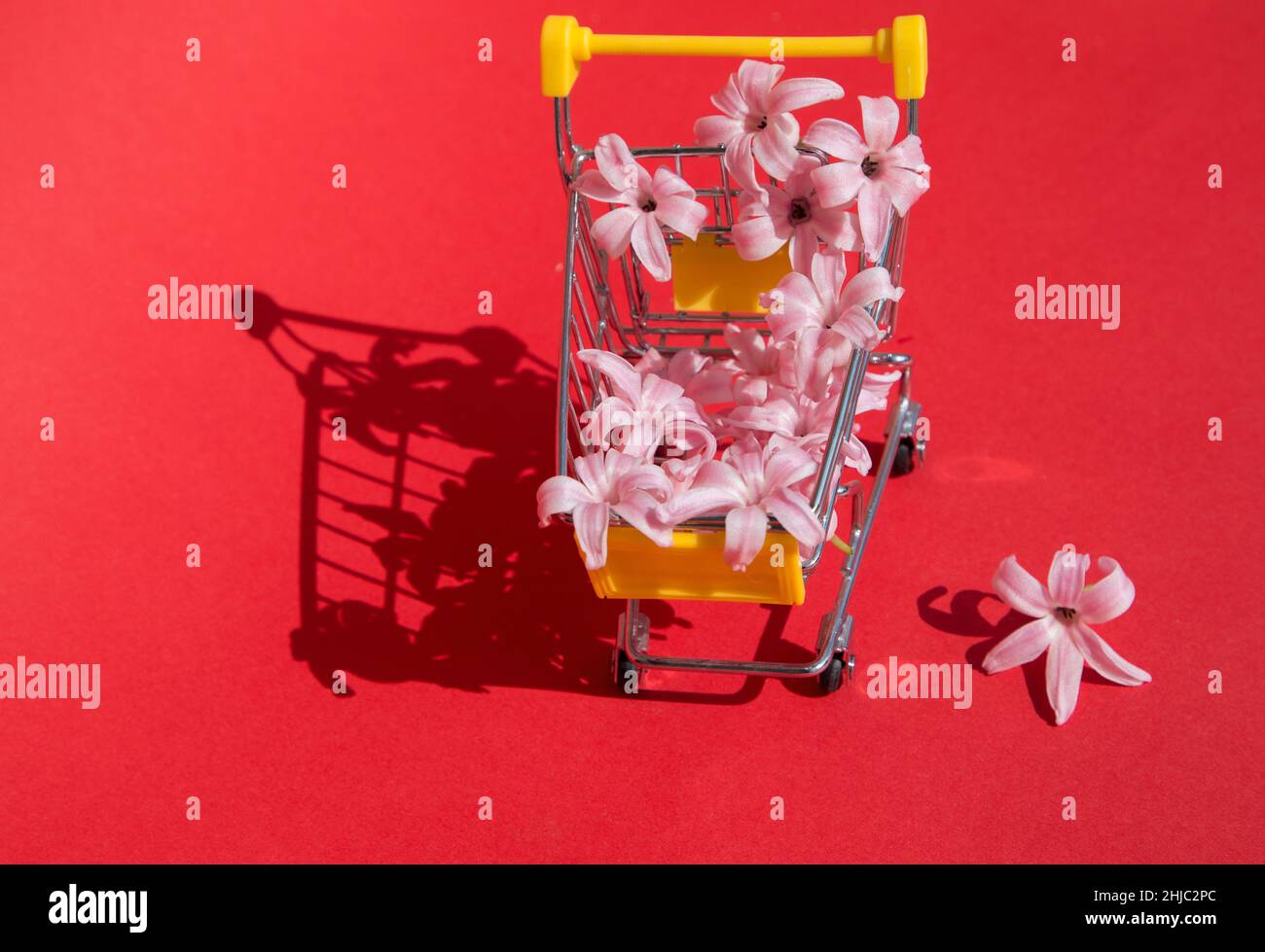 Carrello giocattolo, fiori di giacinto rosa su sfondo rosso brillante. San Valentino, compleanno, vendite stagionali, sconti nei centri commerciali. Fiore Foto Stock