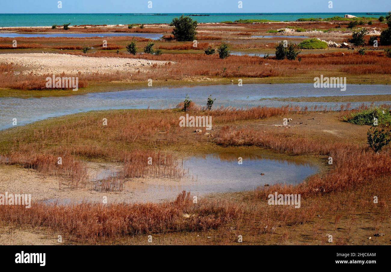 Zone umide con canali d'acqua, Askar, Regno del Bahrain Foto Stock