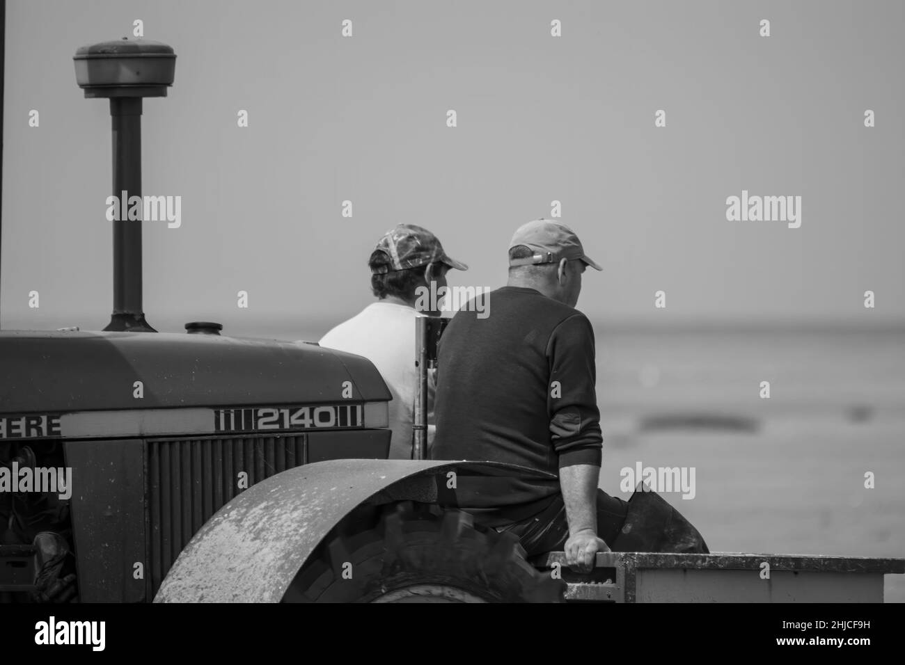 Pêche à pied en baie de Somme, coques, hénons Foto Stock