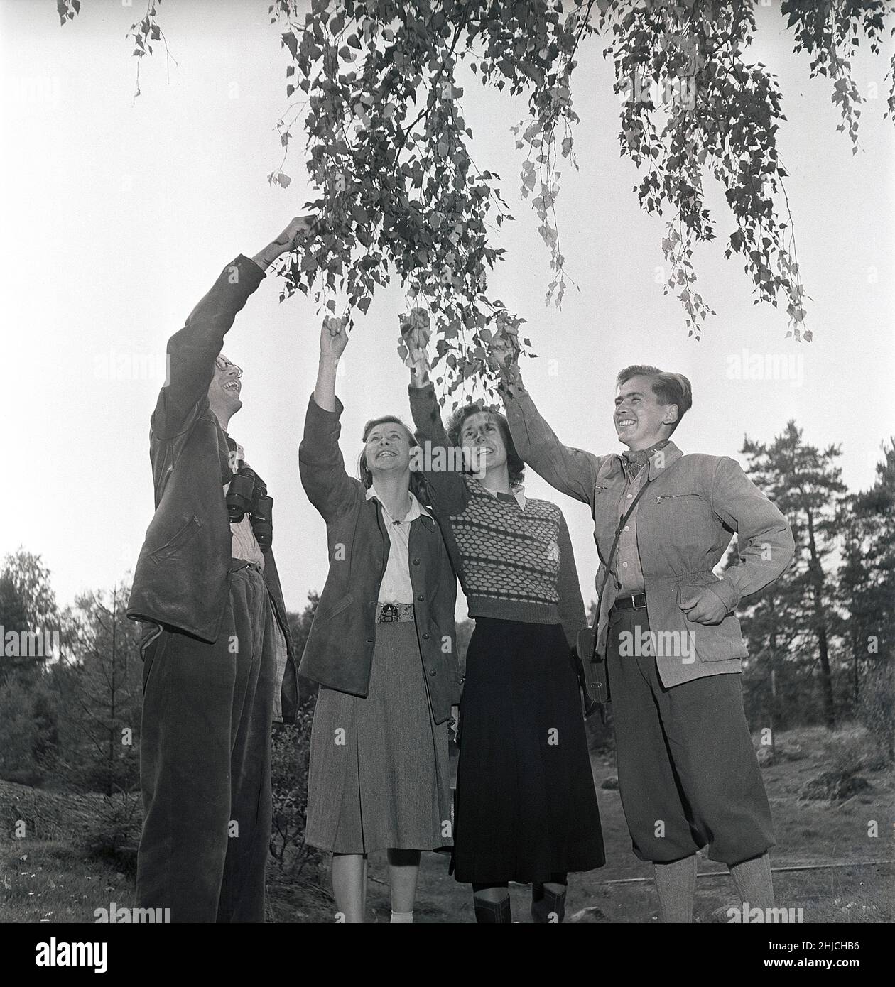 1940s vita all'aperto. Un gruppo di giovani è fuori dalla natura ed è interessato a piante e fiori. Indossano il tipico 1940s tipo di abbigliamento da esterno di carattere sportivo che è pratico e durevole. Studiano i fogli di un albero di betulla. Svezia 1949. Foto Kristoffersson Rif AT1-7 Foto Stock