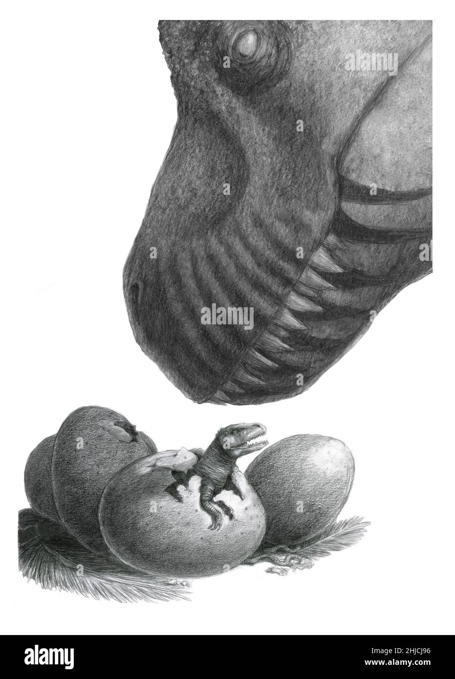 Illustrazione di un dinosauro adulto con uova cova. Foto Stock