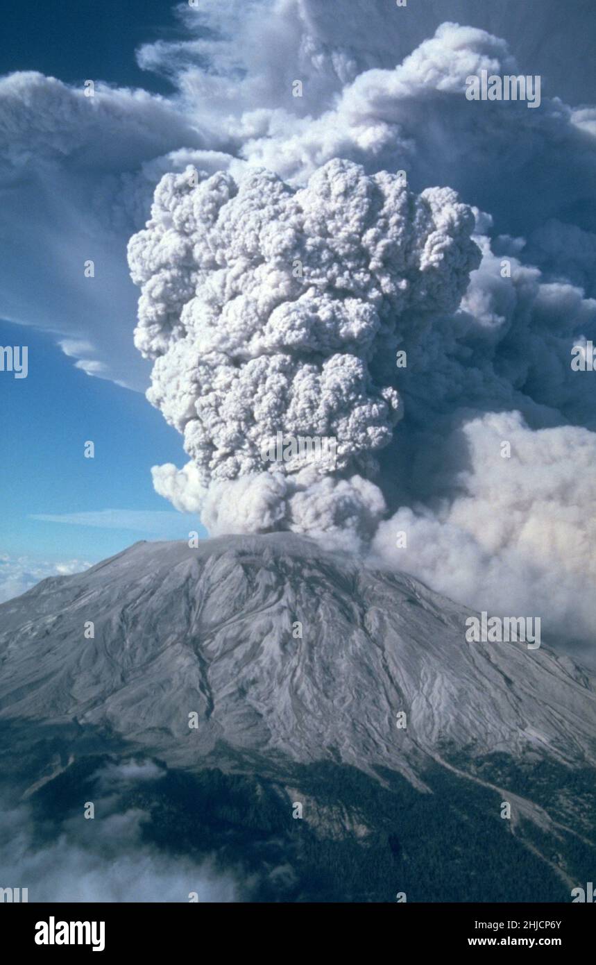 Cinque altre eruzioni esplosive del Monte St. Helens si sono verificate nel 1980 (dopo il maggio 18), incluso questo spettacolare evento del luglio 22. Questa eruzione inviò in aria pomice e cenere da 6 a 11 miglia (10-18 chilometri), ed era visibile a Seattle, Washington, 100 miglia (160 chilometri) a nord. La vista qui è da sud. Foto Stock