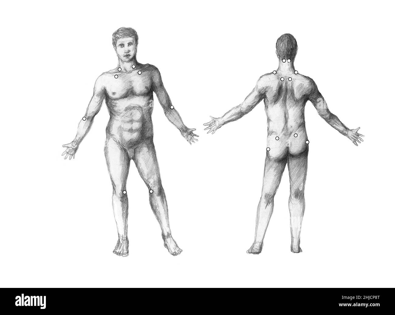 Illustrazione dei punti di pressione su un corpo maschio. I punti di pressione sono utilizzati da molte forme di terapia e medicina (agopuntura, massaggio, ecc.) per alleviare il dolore, curare disturbi, malattie e disturbi del corpo umano. Mentre ci sono alcune prove empiriche di questo ci è un certo dibattito circa l'efficacia di questi trattamenti. Foto Stock