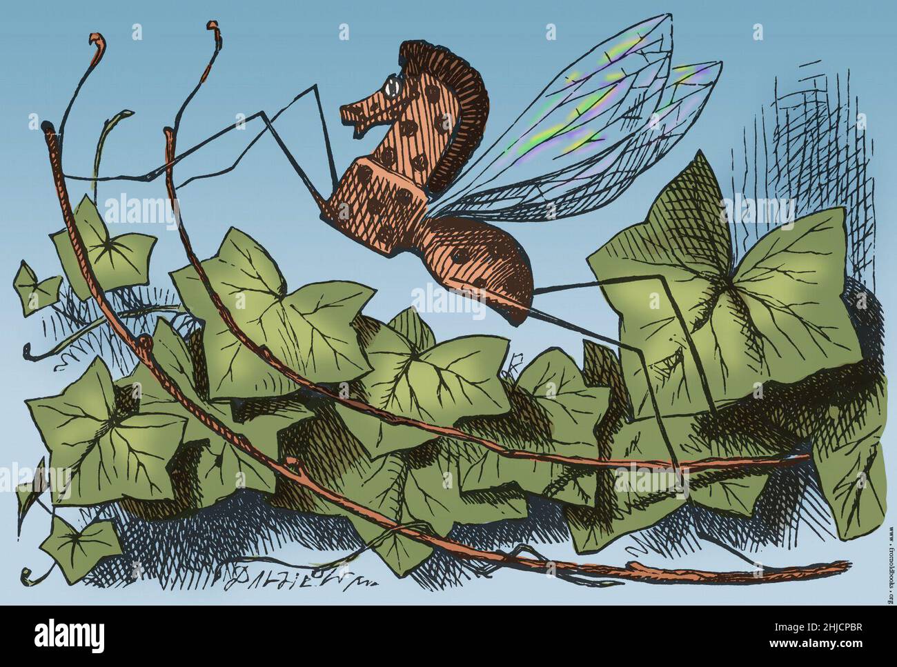 Through the looking-Glass, and What Alice Found There (1871) è un romanzo di Lewis Carroll, il sequel di Alice's Adventures in Wonderland (1865). Ambientato sei mesi dopo il libro precedente, Alice entra di nuovo in un mondo fantastico, questa volta arrampicandosi attraverso uno specchio nel mondo che può vedere oltre di esso. Il nome e la forma del cavallo-mosca è un pun sul cavallo-dondolo. Il suo corpo è quello di un cavallo con puntini neri e ali sulla schiena, mentre le sue gambe sono collegate a bilancieri. È fatto interamente di legno e rocce circa. Vive su sap e segatura. John Tenniel (28 febbraio 1820 - febbraio Foto Stock