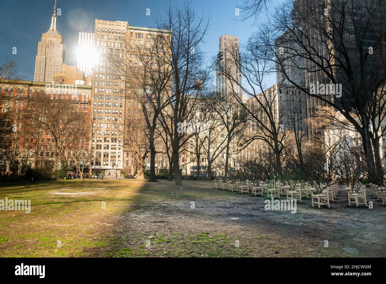 “BrierPatch” dell’artista Hugh Hayden è visto su un prato nel Madison Square Park di New York mercoledì 20 gennaio 2022. Cento banchi scuola con rami di albero emergenti sono costruiti in un modello a griglia che fa riferimento a una patch più brier, che è protettivo e pericoloso allo stesso tempo. Le opere d'arte pubbliche saranno in mostra fino al 24 aprile 2022. (© Richard B. Levine) Foto Stock