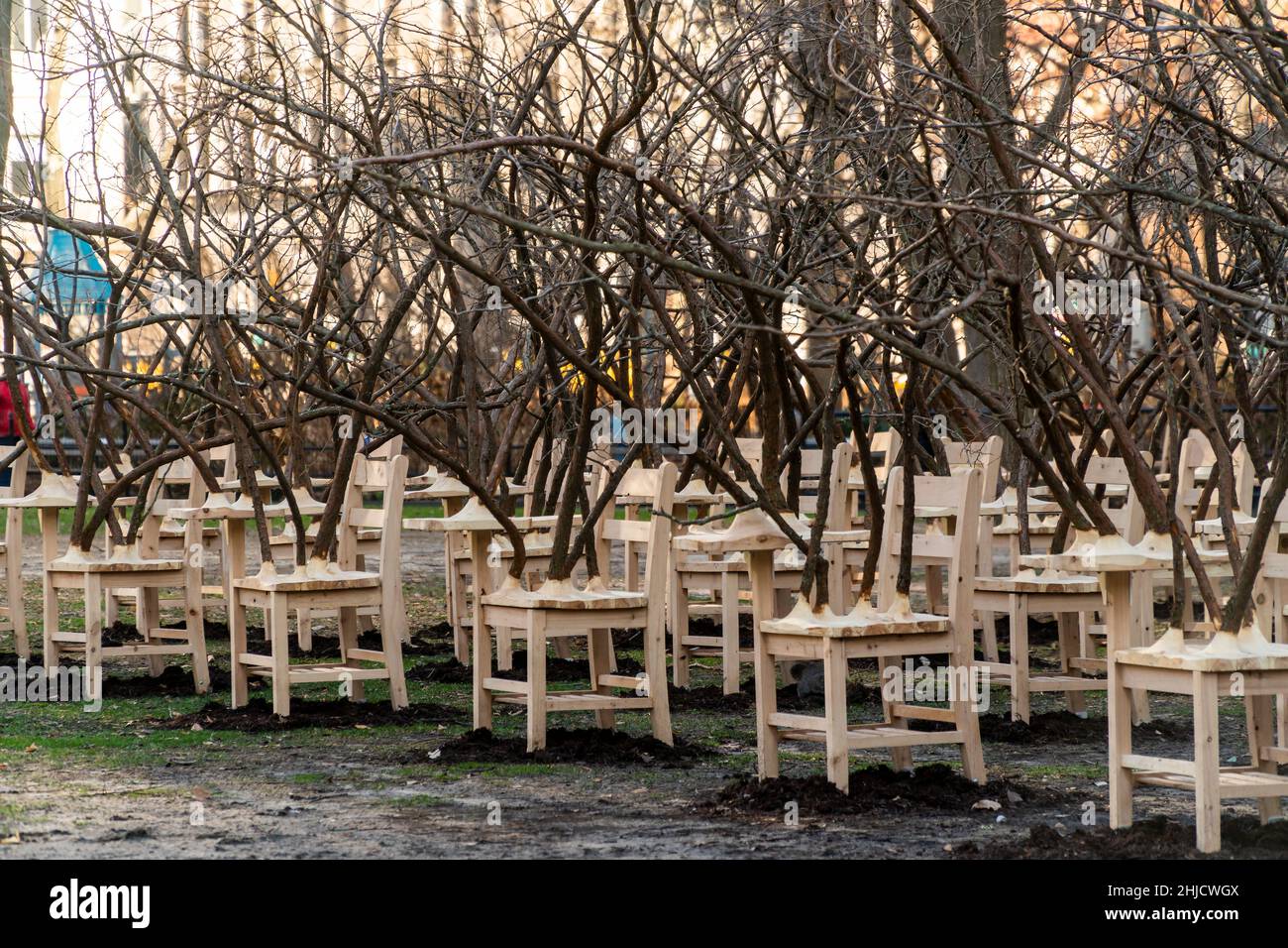 “BrierPatch” dell’artista Hugh Hayden è visto su un prato nel Madison Square Park di New York mercoledì 20 gennaio 2022. Cento banchi scuola con rami di albero emergenti sono costruiti in un modello a griglia che fa riferimento a una patch più brier, che è protettivo e pericoloso allo stesso tempo. Le opere d'arte pubbliche saranno in mostra fino al 24 aprile 2022. (© Richard B. Levine) Foto Stock