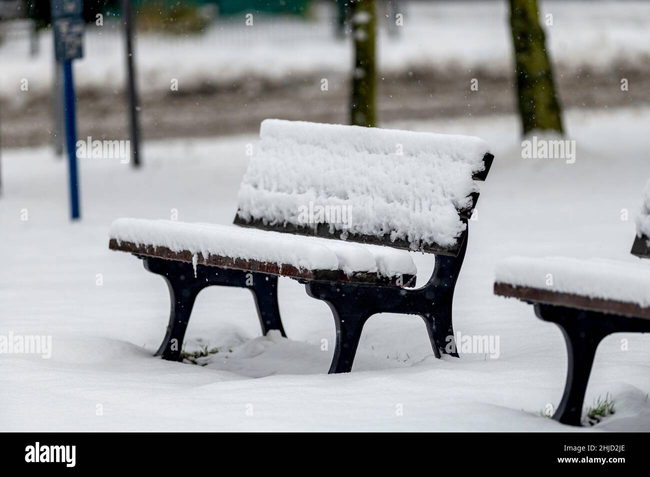 Panca Snowy Park con nevicate leggere Foto Stock