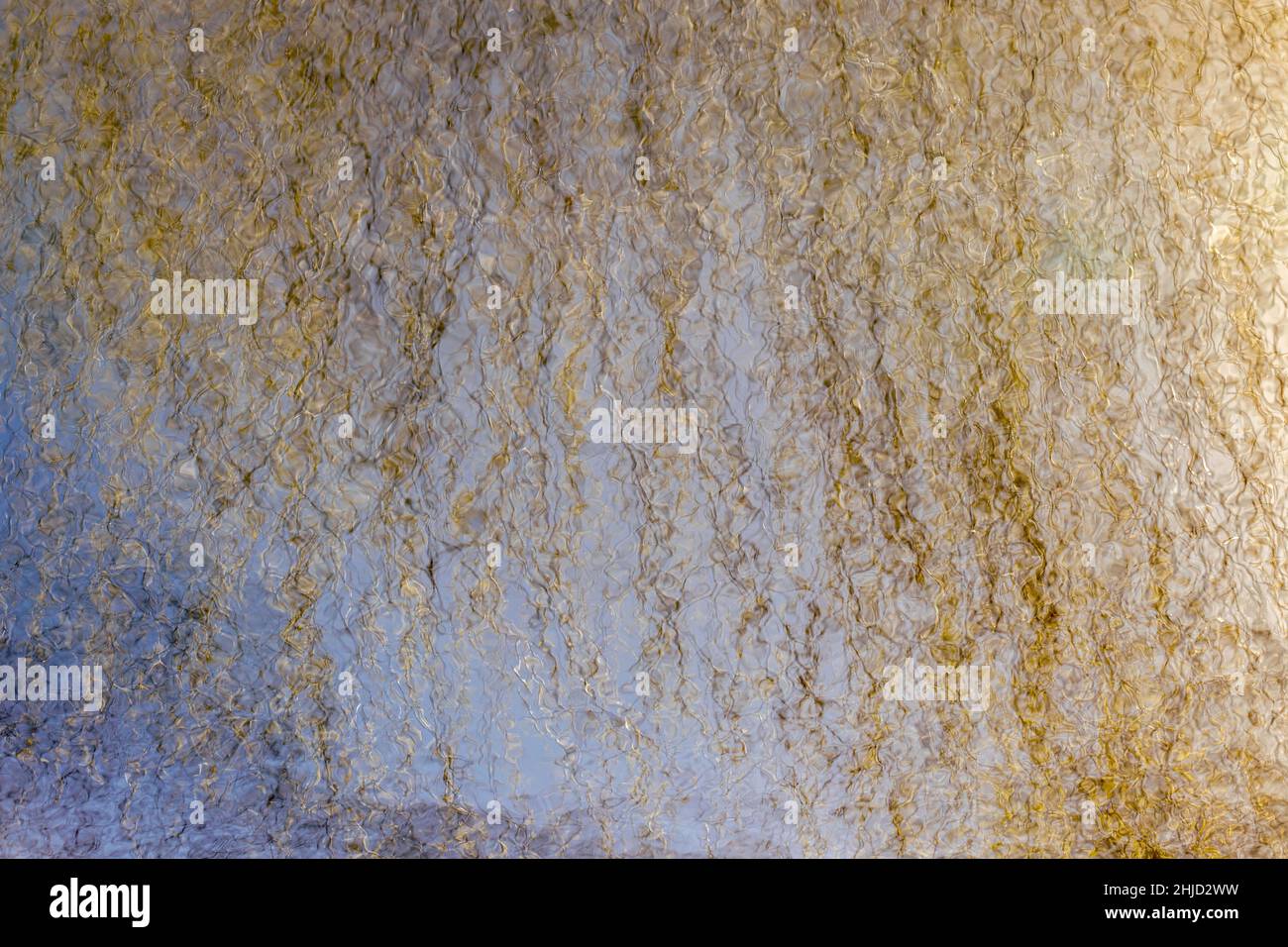 un riflesso di rami di salice dorato nell'acqua, una tavolozza di filamenti dorati su sfondo blu Foto Stock