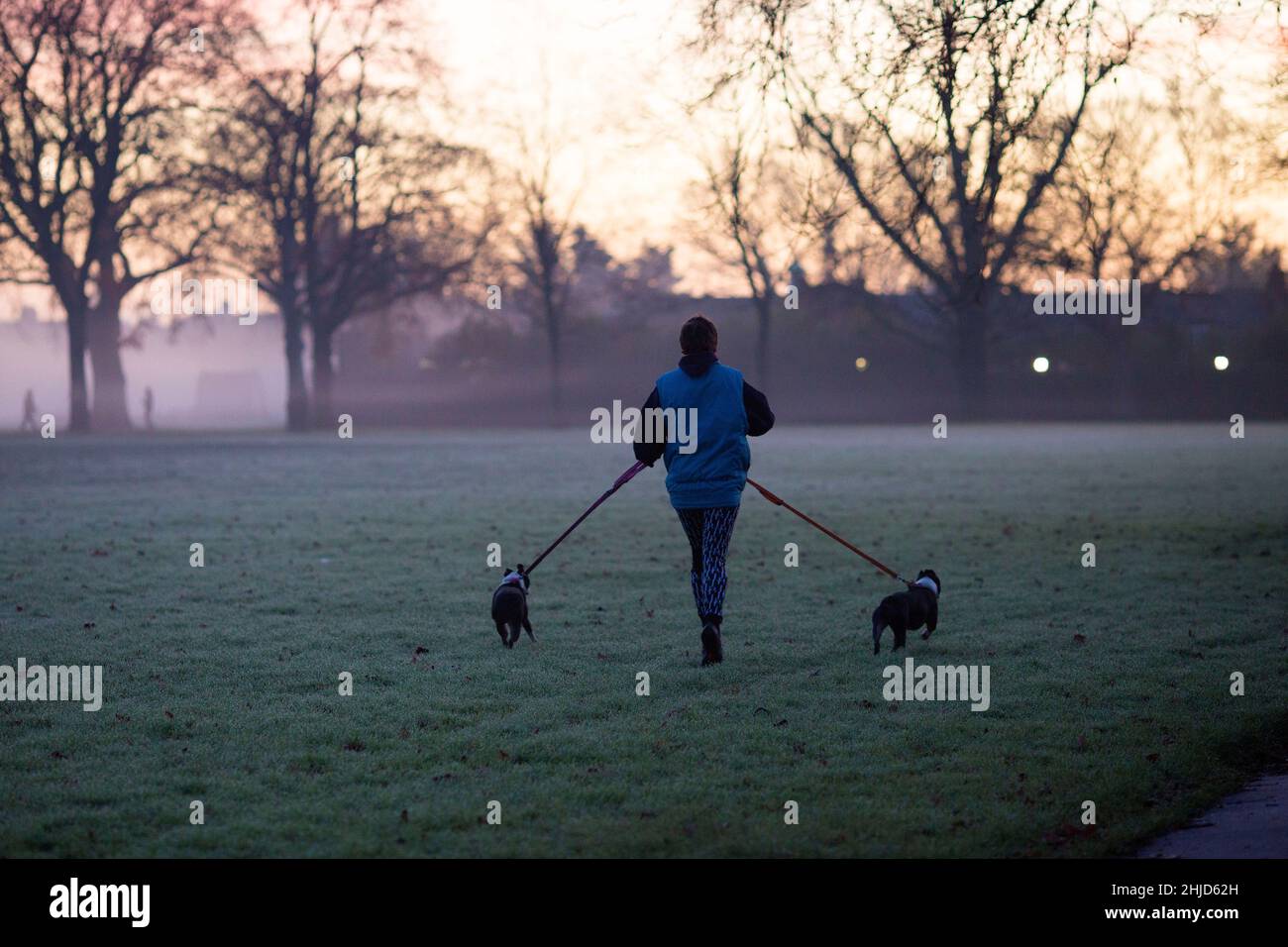 Un pareggiatore cammina cani in un parco coperto dalla nebbia a Ilford, Londra orientale, al mattino. Foto Stock