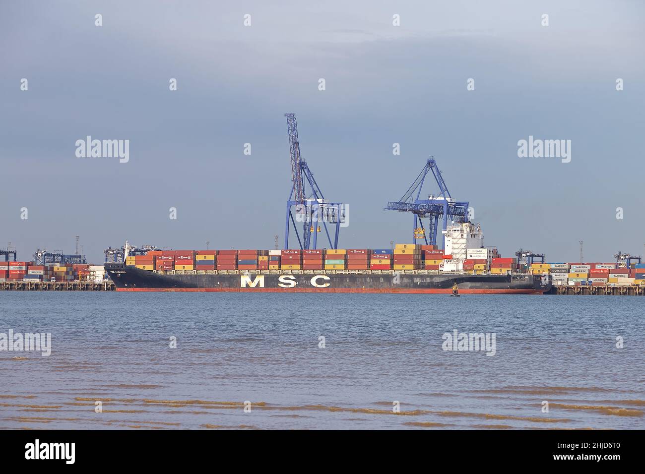 Nave portacontainer MSC Carouge attraccata al porto di Felixstowe, Suffolk, Regno Unito. Foto Stock