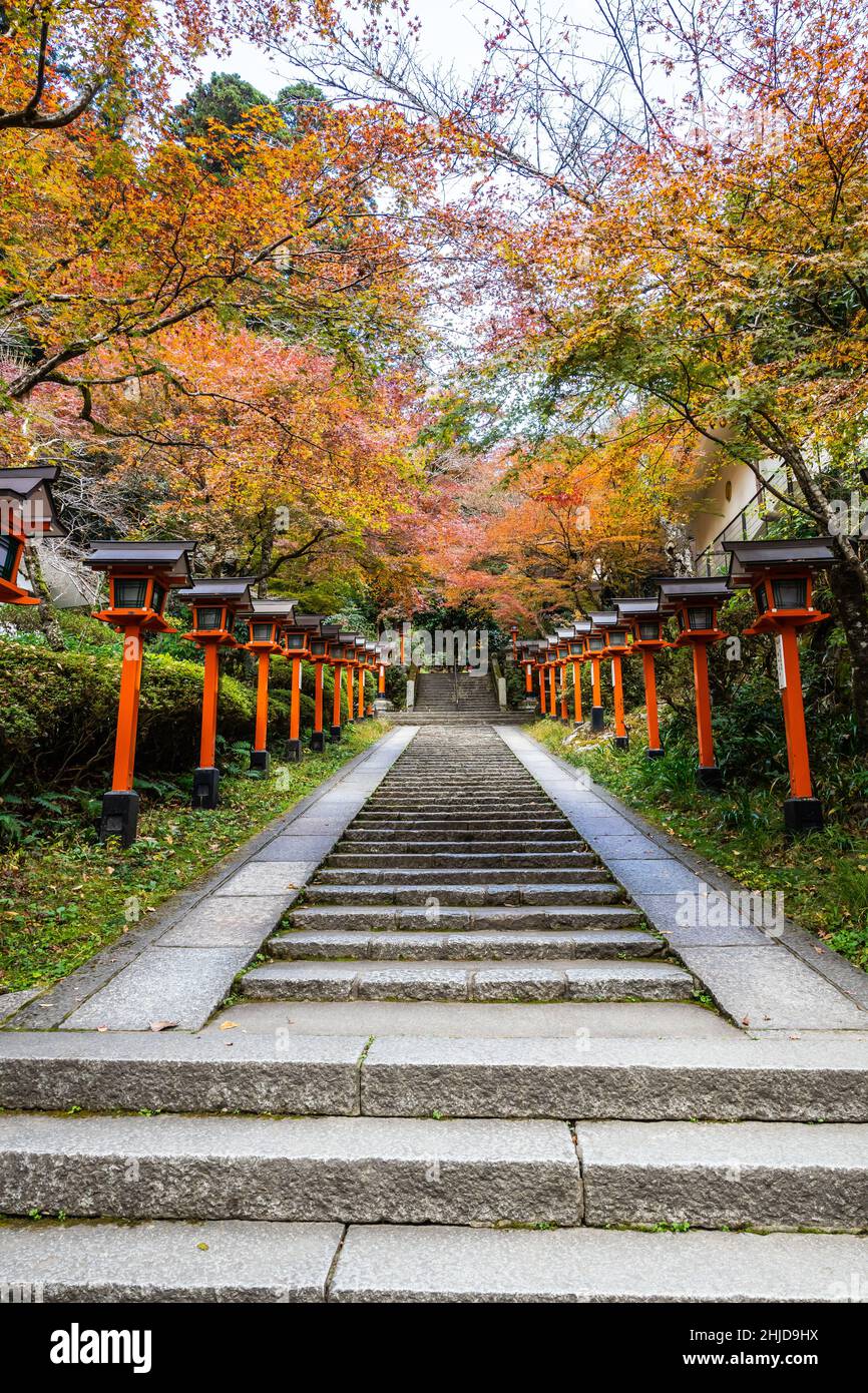 Un percorso fiancheggiato da lanterne con scale che conducono al Tempio Kurama-dere a nord di Kyoto, in Giappone, in una mattinata d'autunno. Foto Stock