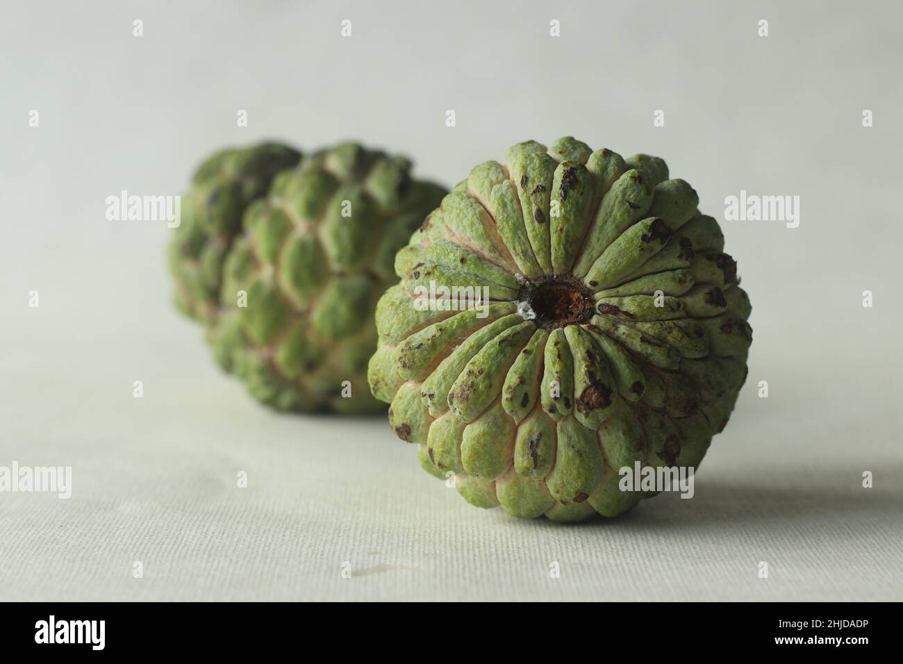 Crema di mele. Un frutto della famiglia Cherimoya con pelle verde e similare. Al suo interno ha una carne bianca cremosa e dolce. Scatto su sfondo bianco Foto Stock