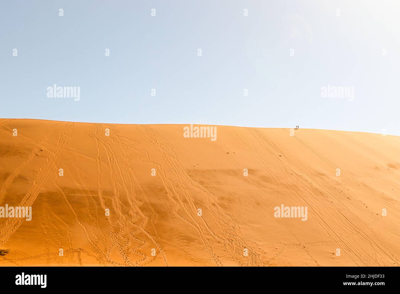 Grande Daddy Dune, Sossusvlei, Namibia Foto Stock