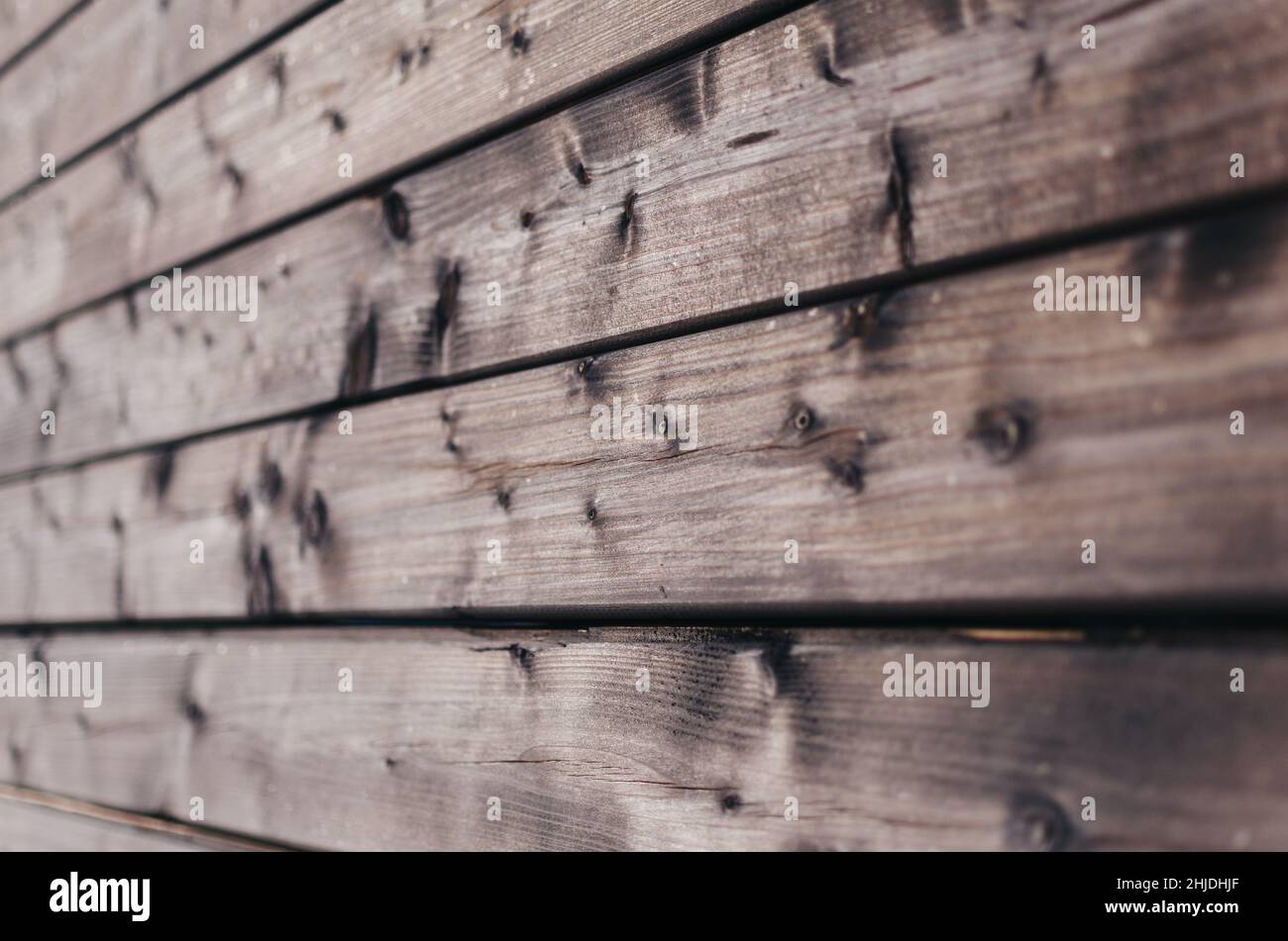 Facciata di legno scuro della casa nel bosco con una bella texture Foto Stock