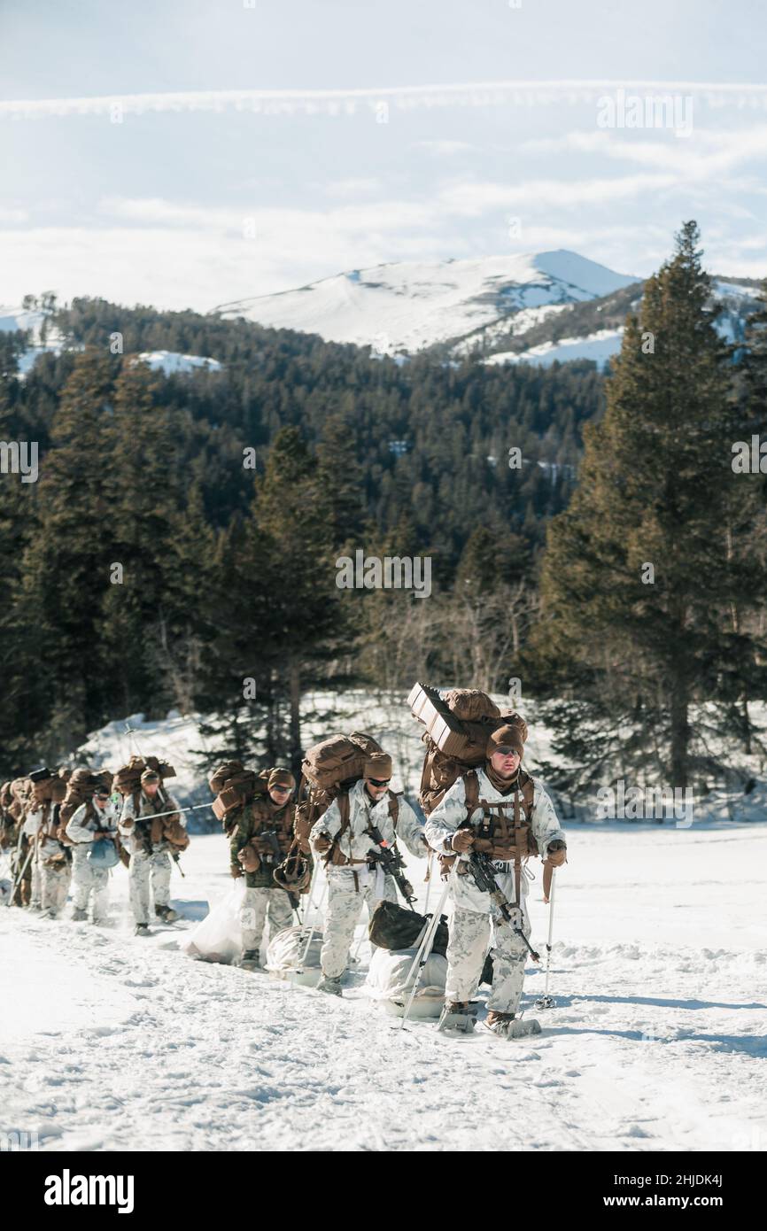 Marines degli Stati Uniti con 3D battaglione, 3D Marines, trekking attraverso il terreno nevoso al Mountain Warfare Training Center, Bridgeport, California, 22 gennaio 2022. 3/3 ha condotto l'addestramento di sopravvivenza di inverno, l'addestramento di mobilità di terreno di inverno e ha costruito le posizioni difensive come parte dell'esercitazione di addestramento di guerra di montagna 2-22 per aumentare la letalità e la prontezza di combattimento. (STATI UNITI Foto del corpo marino di CPL. Patrick King) Foto Stock