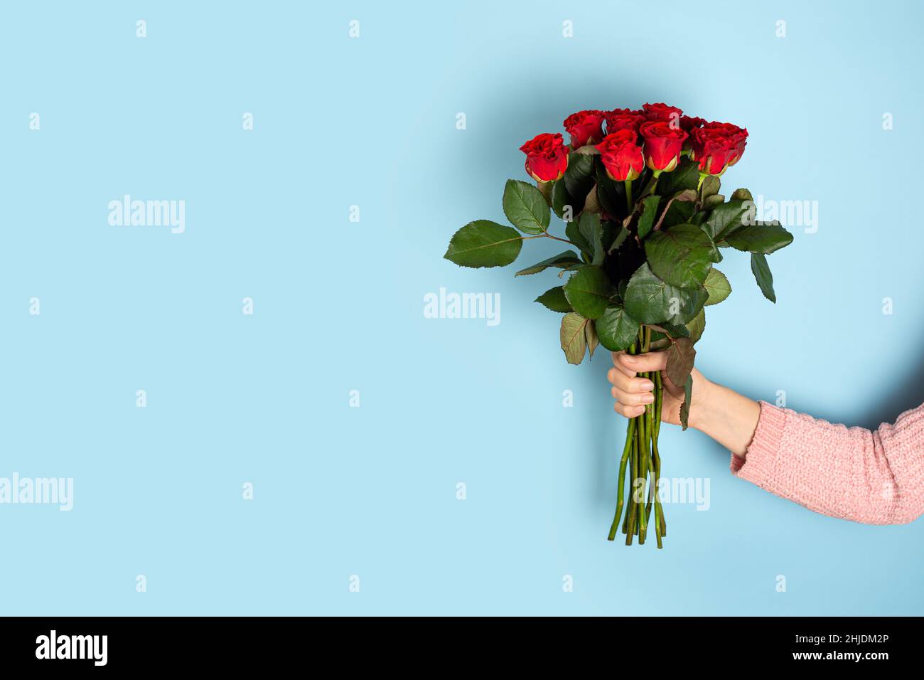 Mano che tiene bel bouquet grande di rose rosse sfondo azzurro chiaro. Poster alla moda per San Valentino, International Womens Day o Mamma Day Foto Stock
