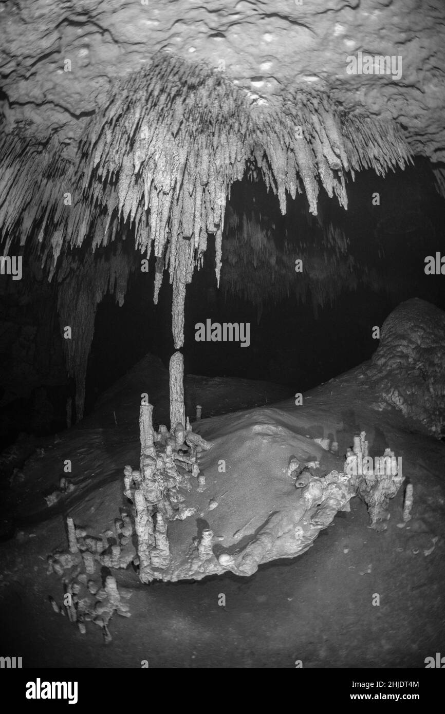 Queste impressionanti stalattiti e stalagmiti si formarono durante un periodo di mare inferiore mentre l'acqua piovana attraversava il fondo della foresta di calcare, creando un i Foto Stock