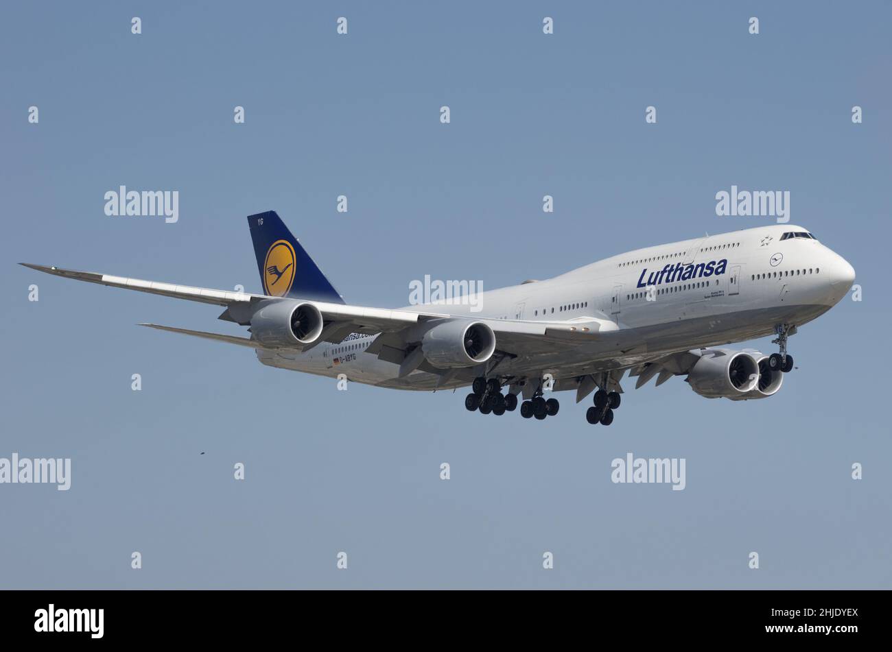 Lufthansa Boeing 747-830 (reg D-ABYG) mostrato secondi prima di atterrare al Los Angeles World Airport, LAX. Foto Stock