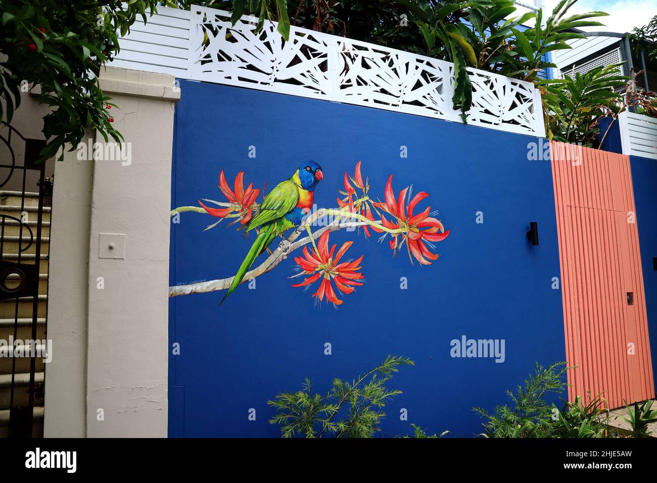 Graffiti murali di Parrot su una parete residenziale Foto Stock