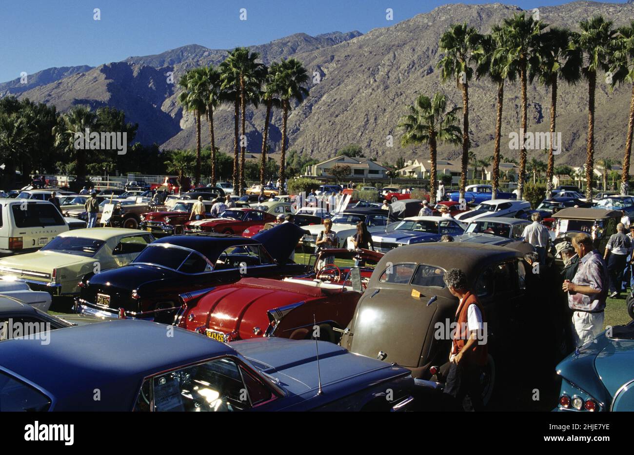 USA CALIFORNIA PALM PRIMAVERA AUTO ASTA Foto Stock