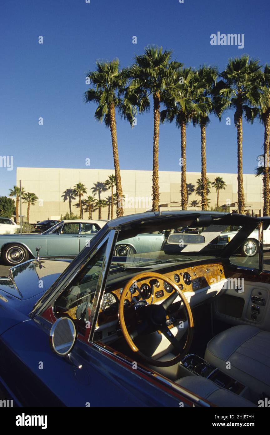 USA CALIFORNIA PALM PRIMAVERA AUTO ASTA Foto Stock