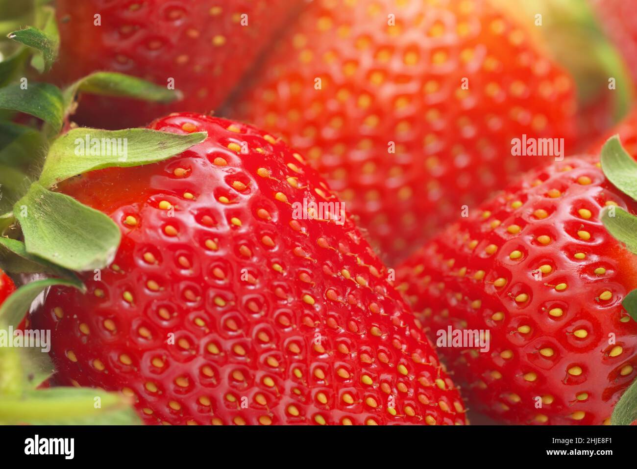 Macro di fragola. Profondità di campo poco profonda. Foto Stock