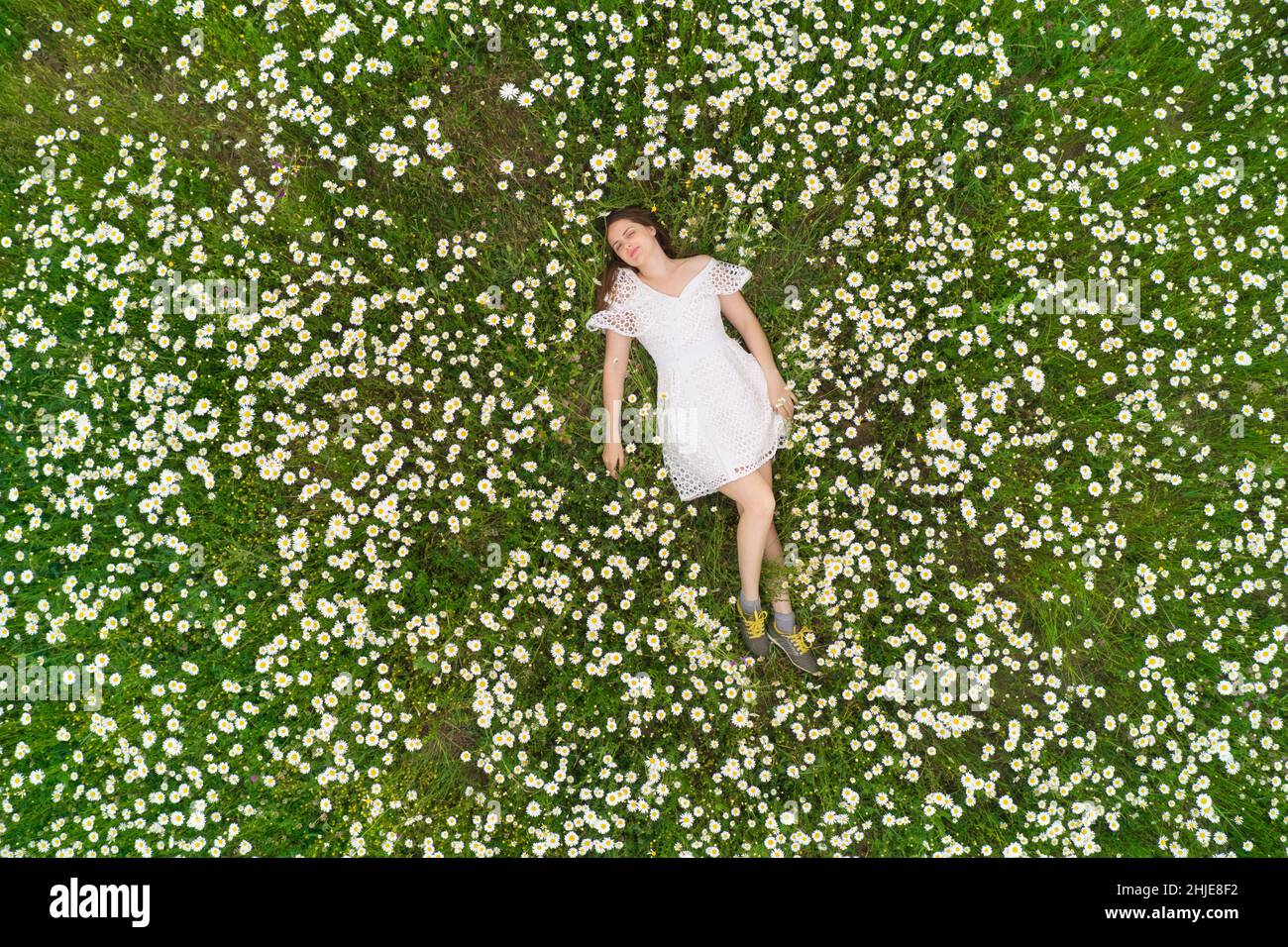 Bella ragazza si trova in camomilla margherita fiore. Vista dall'alto. Fotografia aerea. Foto Stock