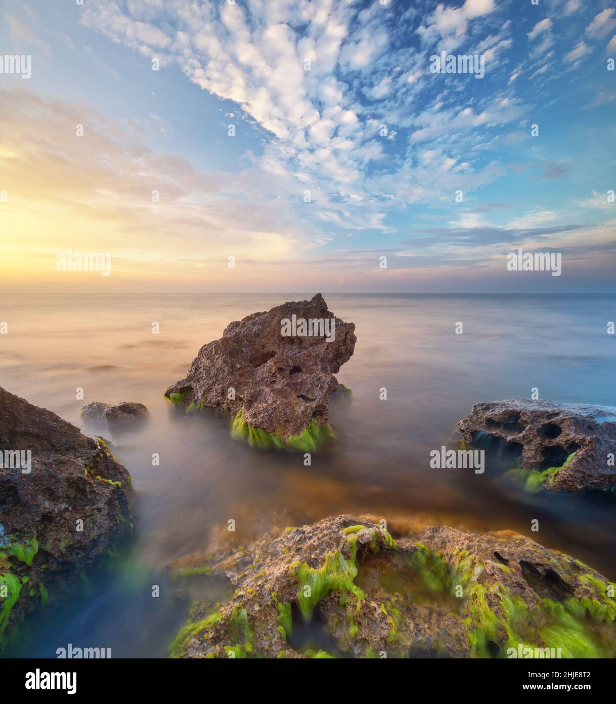 Bella stagcape. Composizione della natura. Tramonto natura composizione. Nebbia su acqua e alghe su pietre. Foto Stock
