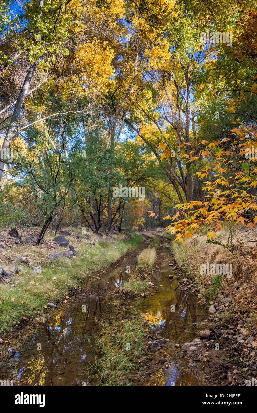 Bonita Creek, 4WD attraversamento stradale, vicino alla confluenza del fiume Gila, Gila Box Riparian National Conservation Area, vicino a Safford, Arizona, Stati Uniti Foto Stock