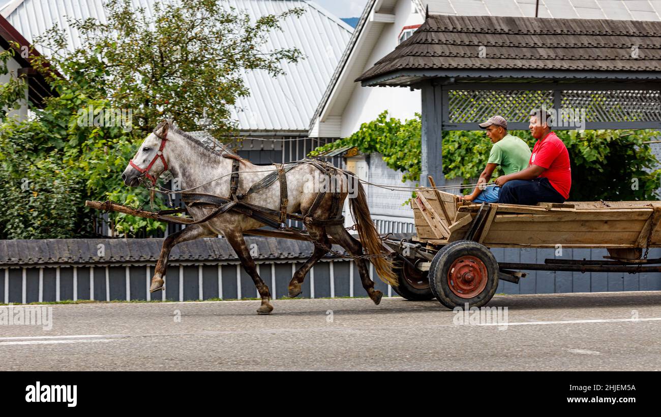 cavallo e trasporto in romania Foto Stock