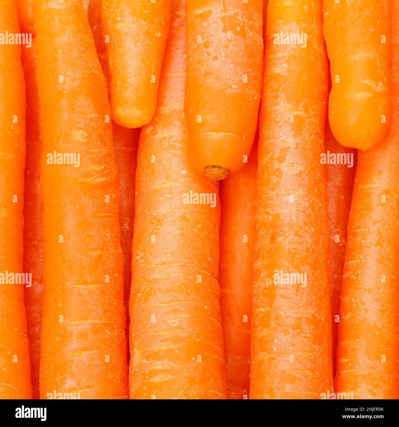 Carote carota sfondo verdure verdure da sopra quadrato fresco Foto Stock