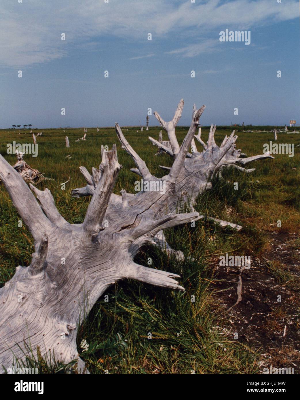 Copia scansionata della foto di archivio Giappone Paesaggio Foto Stock