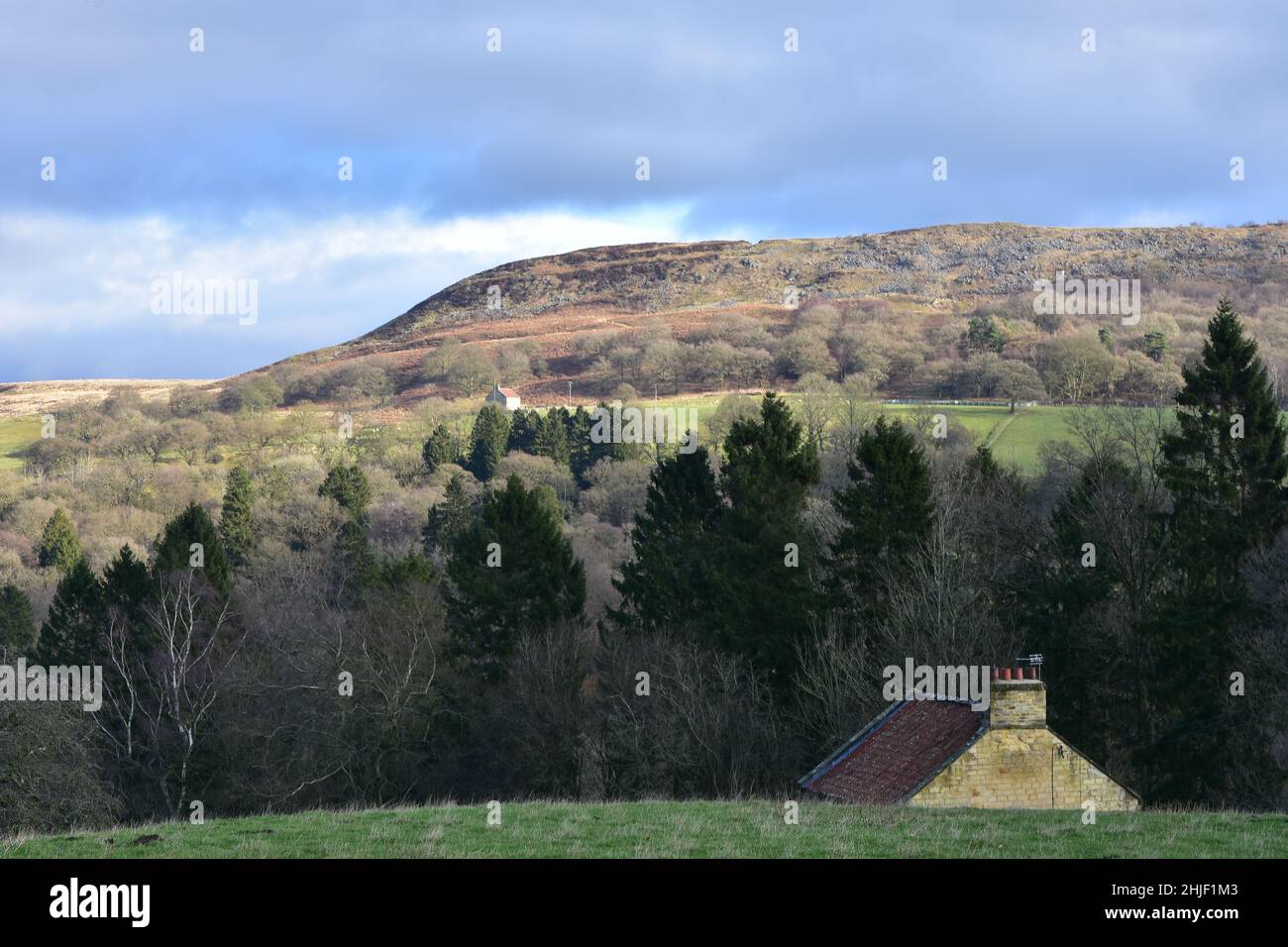 Hawnby Hill, North Yorkshire, Inghilterra Foto Stock