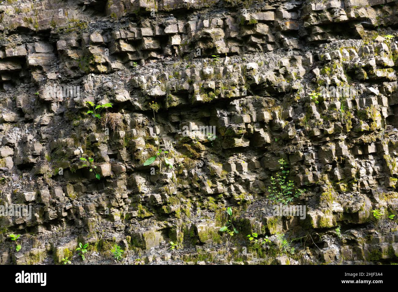 granito in natura all'aperto. parete naturale di roccia alla luce del giorno. cava abbandonata Foto Stock