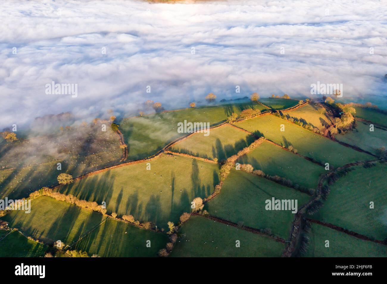 Vista aerea di una valle piena di nebbia circondata da terreni agricoli rurali al sole del pomeriggio (Brecon Beacons, Galles, Regno Unito) Foto Stock