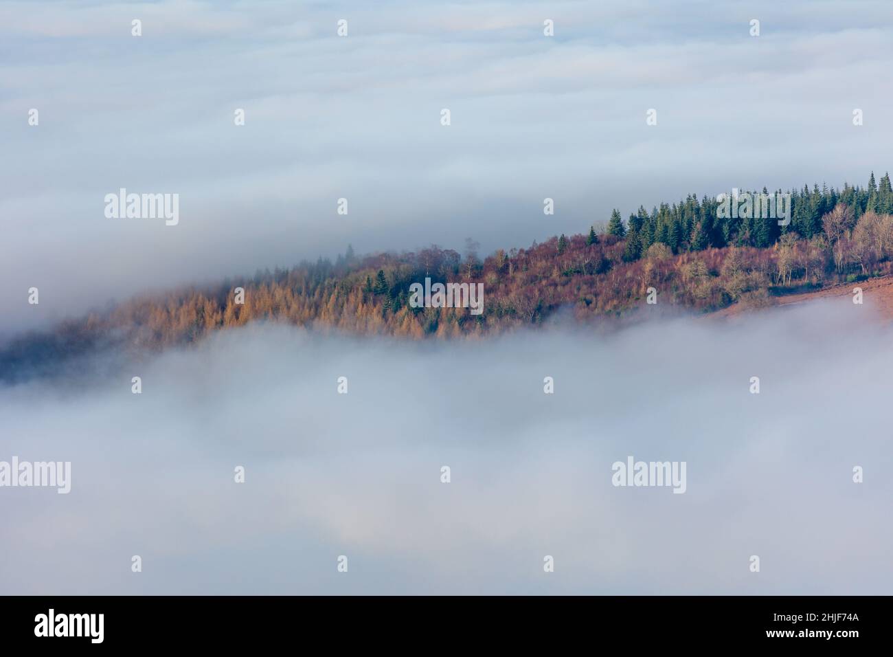 Montagne e alberi che si presentano attraverso la nebbia a basso livello e le inversioni delle nubi nel Brecon Beacons, Galles, Regno Unito. Foto Stock