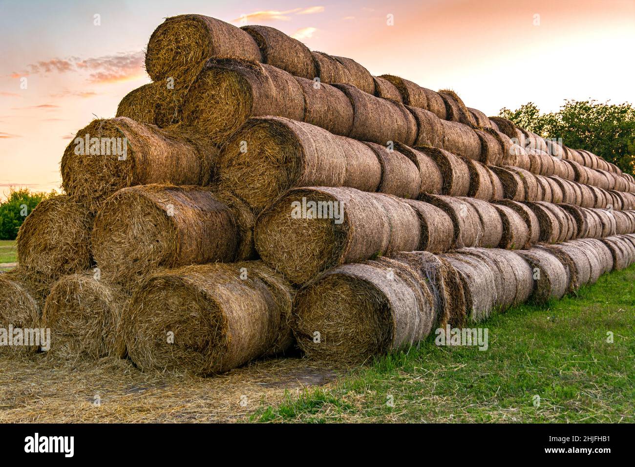 Grande mucchio di balle con paglia. Balle rotonde di paglia impilate in una piramide in un prato. Foto Stock