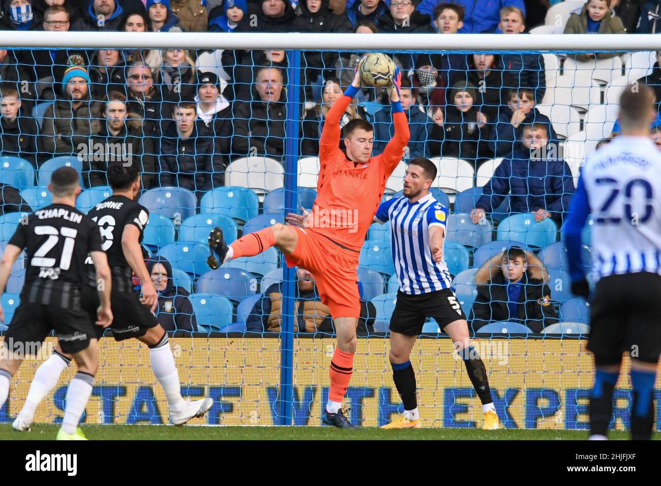 Bailey Peacock-Farrell #1 di Sheffield Mercoledì fa un salvataggio a Sheffield, Regno Unito il 1/29/2022. (Foto di Simon Whitehead/News Images/Sipa USA) Foto Stock