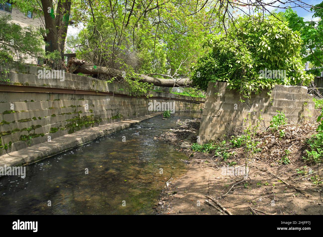 Bel torrente, piccolo fiume che scorre, canale fiancheggiato in pietra curva con riflessi in acqua, erba verde, edera, albero e alberi downed. Foto Stock