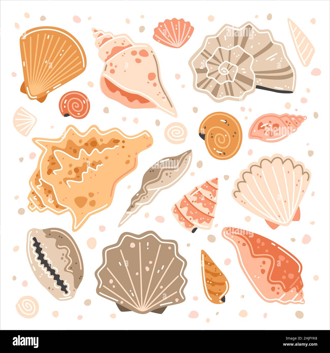 Set di conchiglie multicolore. Collezione di illustrazioni piatte vettoriali Illustrazione Vettoriale