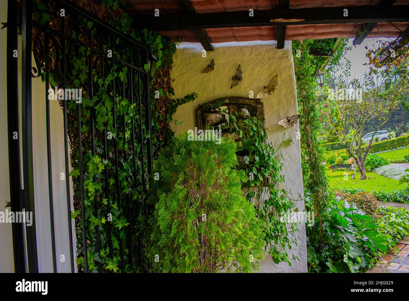 finestra con fiori e foglie verdi Foto Stock