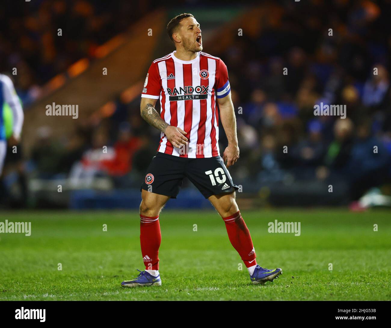 Peterborough, Inghilterra, 29th gennaio 2022. Billy Sharp di Sheffield Utd ruggisce in quanto viene sostituito durante la partita Sky Bet Championship a London Road, Peterborough. Il credito d'immagine dovrebbe leggere: David Klein / Sportimage Credit: Sportimage/Alamy Live News Foto Stock