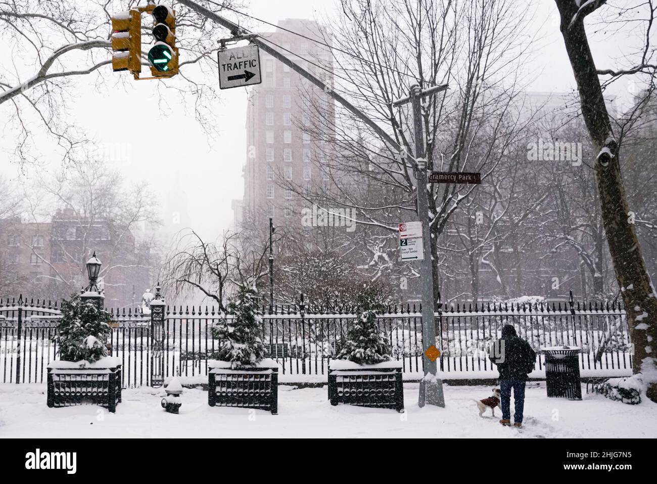 Indecisa da venti bui, temperature gelide, un uomo solista con un cane sta sfidando una neve Blizzard, classificato come ciclone bomba. Foto Stock