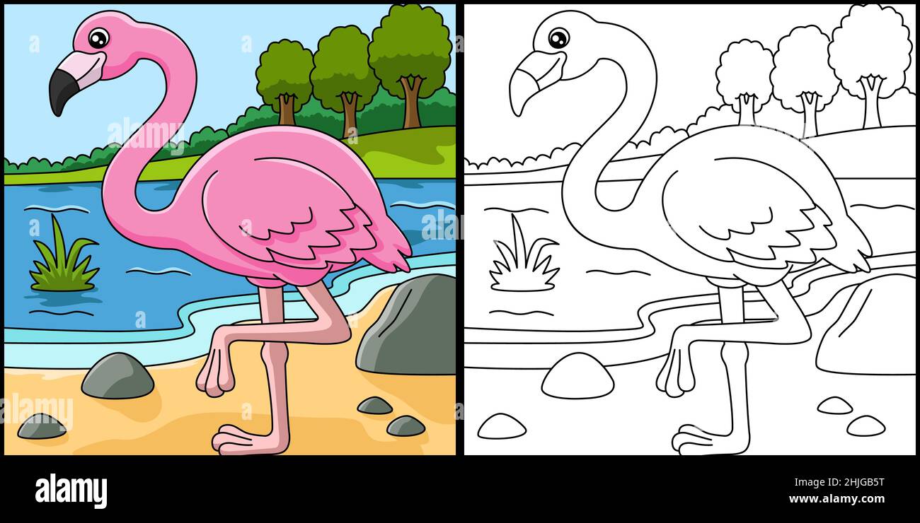 Flamingo Coloring Page Vector Illustrazione Illustrazione Vettoriale