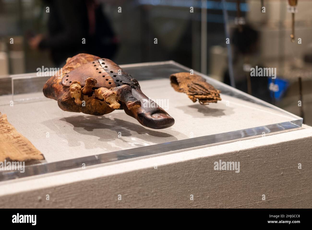 Mostra protesica in legno in Egitto, notevole esempio di antichi egizi che utilizzano protesi in legno per sostituire le dita dei piedi mancanti Foto Stock