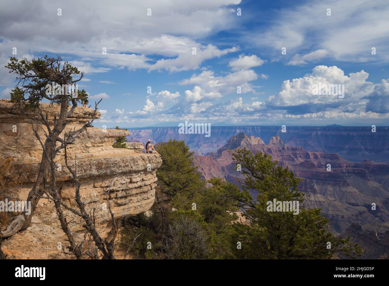 Parco Nazionale del Grand Canyon, versante nord Foto Stock