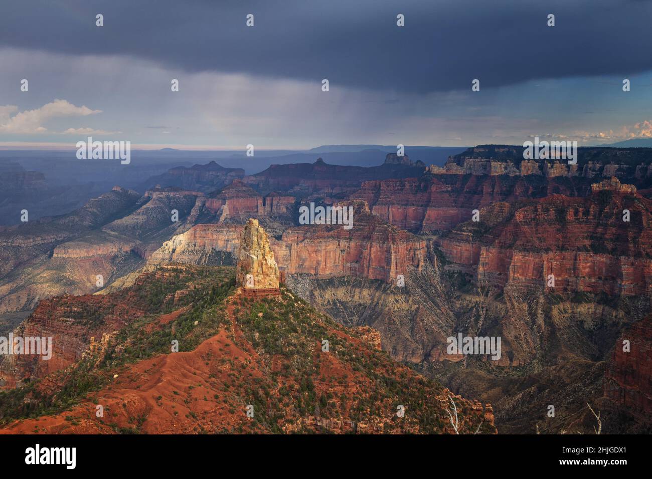 Parco Nazionale del Grand Canyon, versante nord Foto Stock