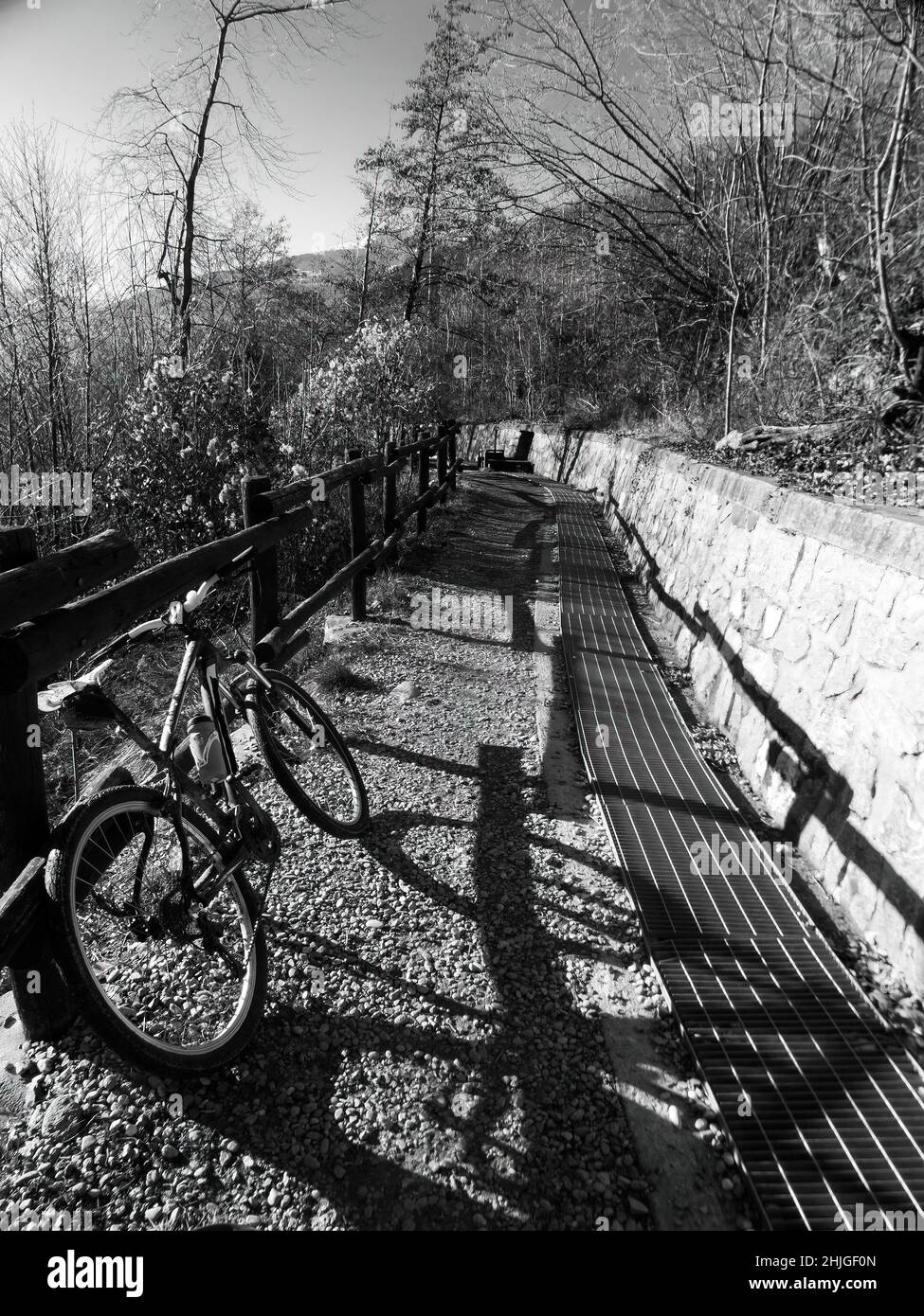montain bici in un sentiero sterrato in mezzo al bosco su una strada di montagna Foto Stock