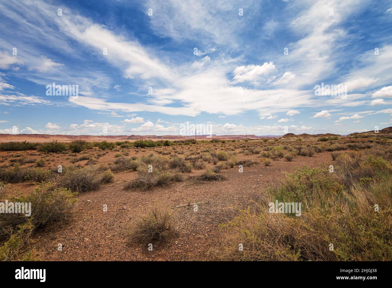 Una cartolina del deserto dell'Arizona Foto Stock
