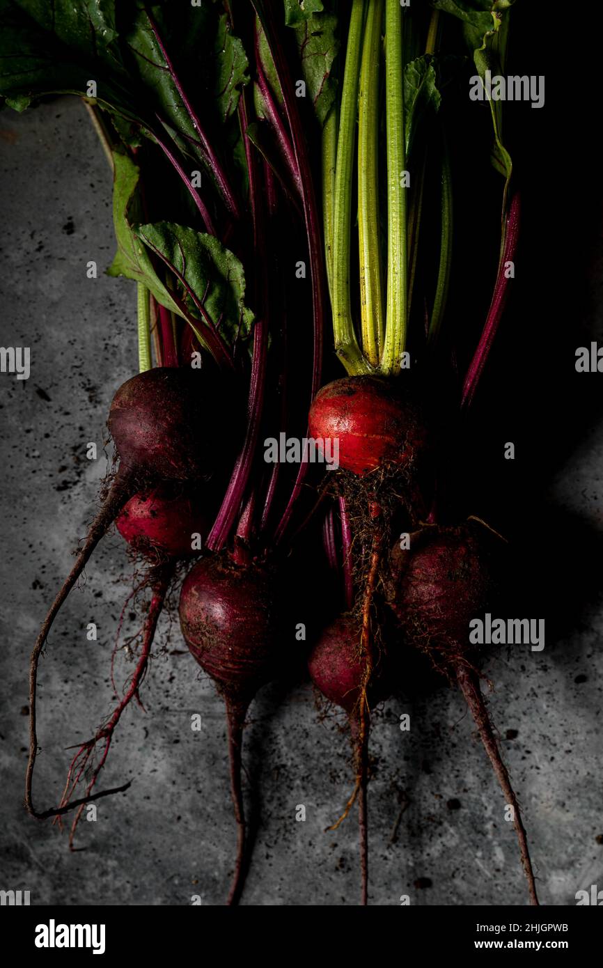 Un mazzetto di barbabietole appena raccolte su una superficie metallica afflitta Foto Stock